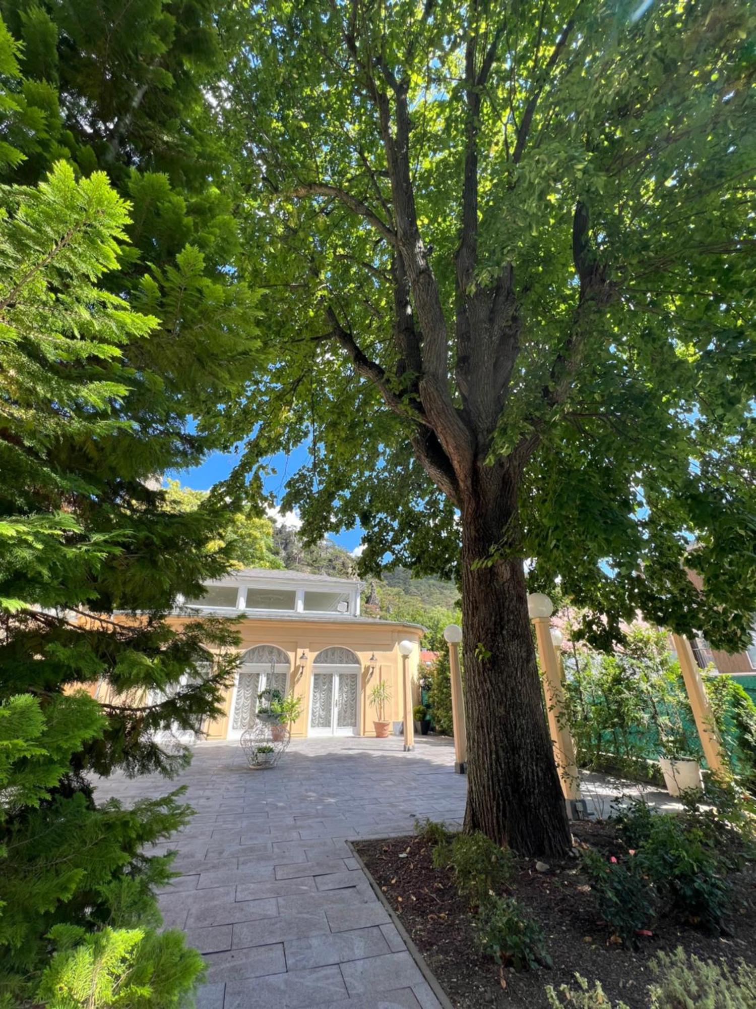 Wienerwald Residenz Baden Luaran gambar